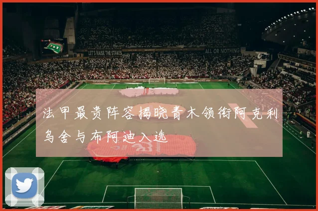 法甲最贵阵容揭晓青木领衔阿克利乌舍与布阿迪入选