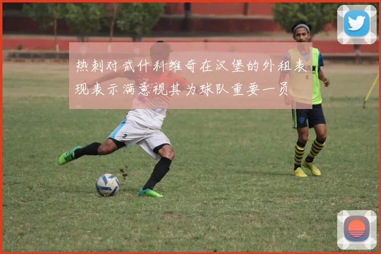 热刺对武什科维奇在汉堡的外租表现表示满意视其为球队重要一员